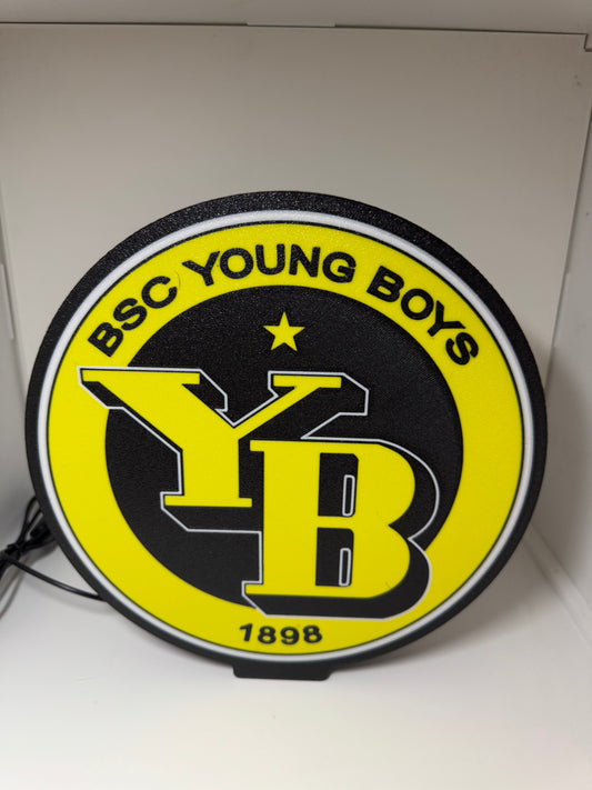 Ledbox led HC Hockey Young Boys